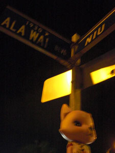 2009-01-22-HAWAII-034.jpg - 運河の道は避けていくのにゃ。