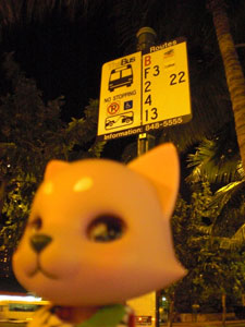 2009-01-22-HAWAII-037.jpg - バスは乗らないよ。