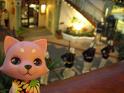 2009-01-22-HAWAII-023