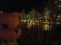 2009-01-22-HAWAII-030