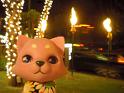 2009-01-22-HAWAII-038
