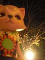2009-01-22-HAWAII-039