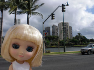 2009-01-23-2009-HAWAII-009.jpg - 夜はだめだけど、昼間は大丈夫な運河沿いの道。