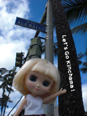2009-01-23-2009-HAWAII-012.jpg - やっほー♪