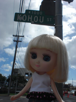 2009-01-23-2009-HAWAII-024.jpg - バスに乗ってやってきたのはこちら。