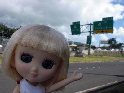 2009-01-23-2009-HAWAII-028.jpg - すぐそばを車がびゅんびゅん走っています。