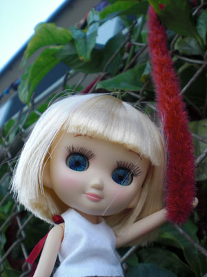 2009-01-23-2009-HAWAII-029.jpg - 近くのお家で、もこもこを見つけました。