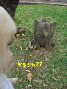 2009-01-23-2009-HAWAII-042.jpg - 違います・・・。