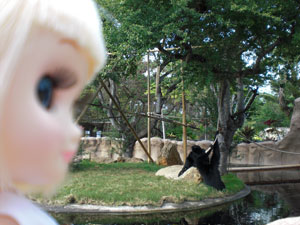 2009-01-23-2009-HAWAII-046.jpg - にこにこ。