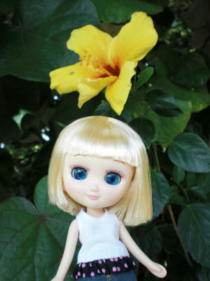 2009-01-23-2009-HAWAII-052.jpg - ちょっと白飛びしてしまいました。