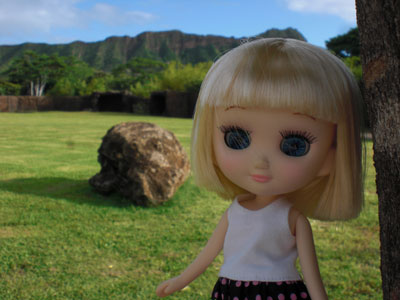 2009-01-23-2009-HAWAII-055.jpg - 隕石と。（嘘です）遠くに見えるのは、ダイヤモンドヘッド。