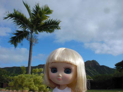 2009-01-23-2009-HAWAII-056.jpg - のんびりと時間が流れています。