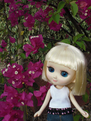 2009-01-23-2009-HAWAII-057.jpg - ここにもきれいなお花が咲いていました。