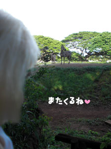 2009-01-23-2009-HAWAII-071.jpg - ごあいさつして、またまた移動。