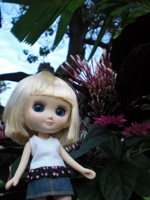 2009-01-23-2009-HAWAII-081.jpg - 動物もそうですが、きれいなお花もたくさんあって、撮影にはもってこいの場所です。