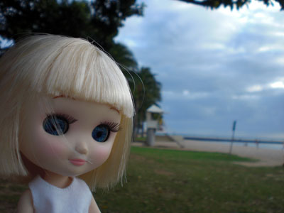2009-01-23-2009-HAWAII-084.jpg - ミルちゃんも楽しみな様子です。