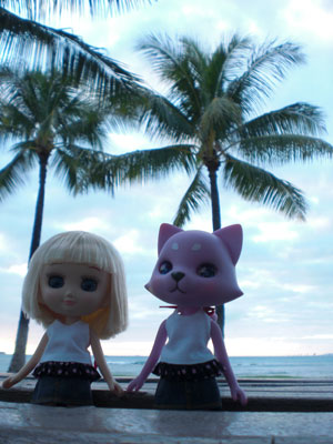 2009-01-23-2009-HAWAII-086.jpg - こんな感じがいいかな？