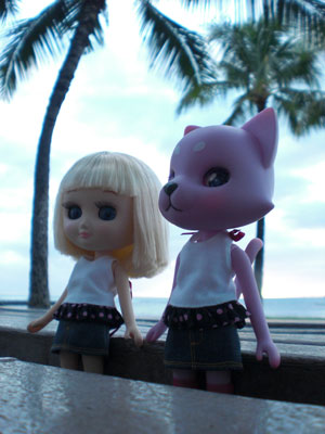 2009-01-23-2009-HAWAII-087.jpg - このくらいかな？