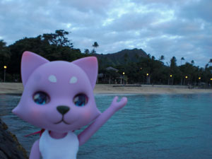 2009-01-23-2009-HAWAII-091.jpg - ダイヤモンドヘッドをバックに。