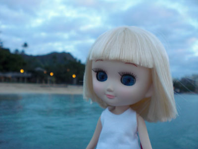 2009-01-23-2009-HAWAII-092.jpg - ミルちゃん気持ちよさそう♪