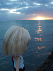 2009-01-23-2009-HAWAII-094.jpg - なんだかさみしいです。