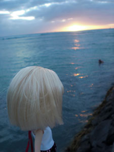 2009-01-23-2009-HAWAII-095.jpg - ミルちゃんもちょっとセンチメンタル。
