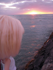 2009-01-23-2009-HAWAII-096.jpg - シーンモードで夕日のマークに合わせてみました。