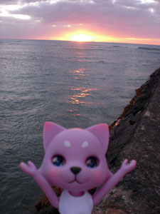 2009-01-23-2009-HAWAII-097.jpg - ピンクが強い感じですが、これもまたいい感じ。