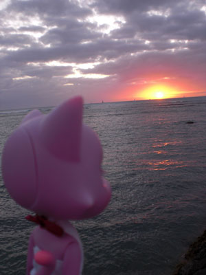 2009-01-23-2009-HAWAII-101.jpg - いつまでも夕日を見ているみらいにきなのでした。