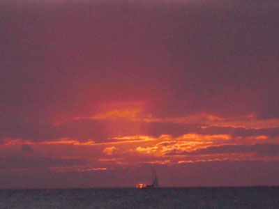 2009-01-23-2009-HAWAII-106.jpg - そして、見えなくなってしまいました。