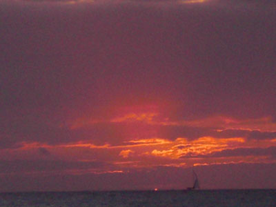 2009-01-23-2009-HAWAII-107.jpg - The End