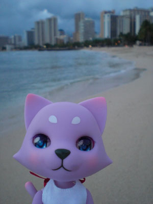 2009-01-23-2009-HAWAII-110.jpg - みらいにきのほっぺたも、なんだかぽっと染まっているような気がします。