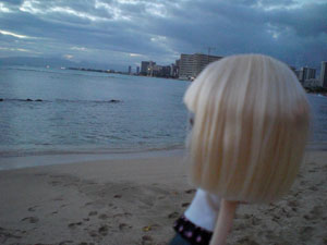 2009-01-23-2009-HAWAII-114.jpg - のんびりとしたハワイの1日は、こうして過ぎていきます。