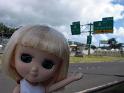2009-01-23-2009-HAWAII-028