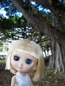 2009-01-23-2009-HAWAII-038