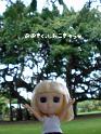 2009-01-23-2009-HAWAII-040