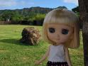 2009-01-23-2009-HAWAII-055