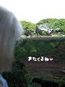 2009-01-23-2009-HAWAII-071