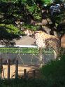 2009-01-23-2009-HAWAII-072