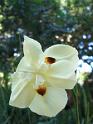 2009-01-23-2009-HAWAII-074