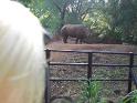 2009-01-23-2009-HAWAII-077