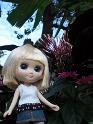 2009-01-23-2009-HAWAII-081