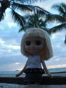 2009-01-23-2009-HAWAII-085