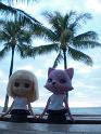 2009-01-23-2009-HAWAII-086