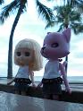 2009-01-23-2009-HAWAII-087