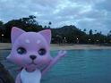 2009-01-23-2009-HAWAII-091