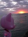 2009-01-23-2009-HAWAII-101