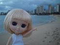 2009-01-23-2009-HAWAII-112