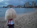 2009-01-23-2009-HAWAII-113