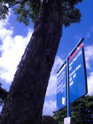 2009-01-24-2009-HAWAII-001.jpg - 最後のおでかけは、サークルアイランド。